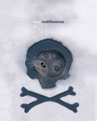 your indifference