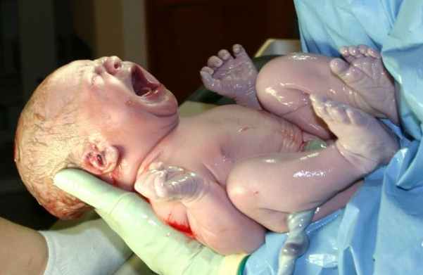 human infant newborn baby
