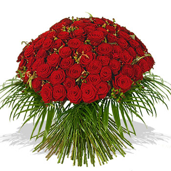 100red roses