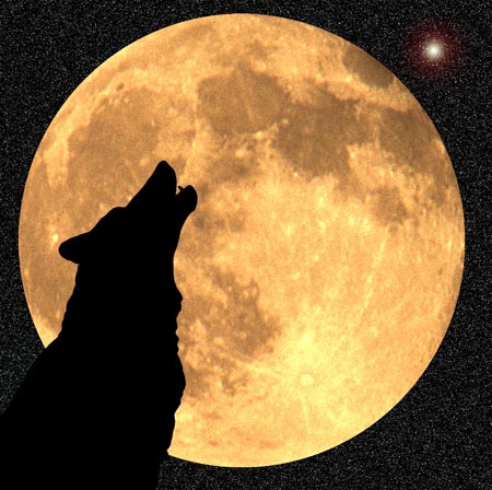 wolf moon 55631052