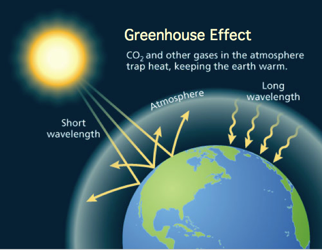 greenhouse effect
