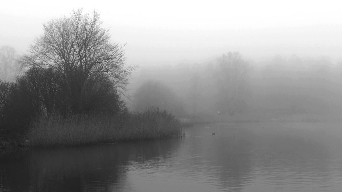 november