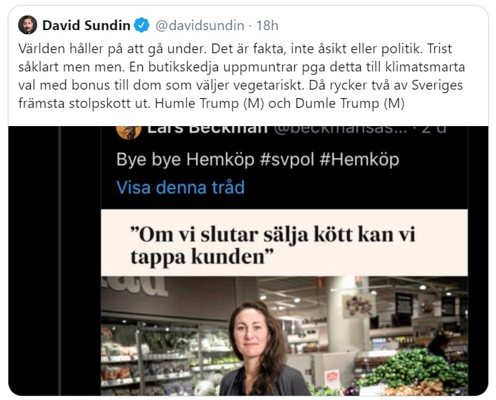 David Sundin