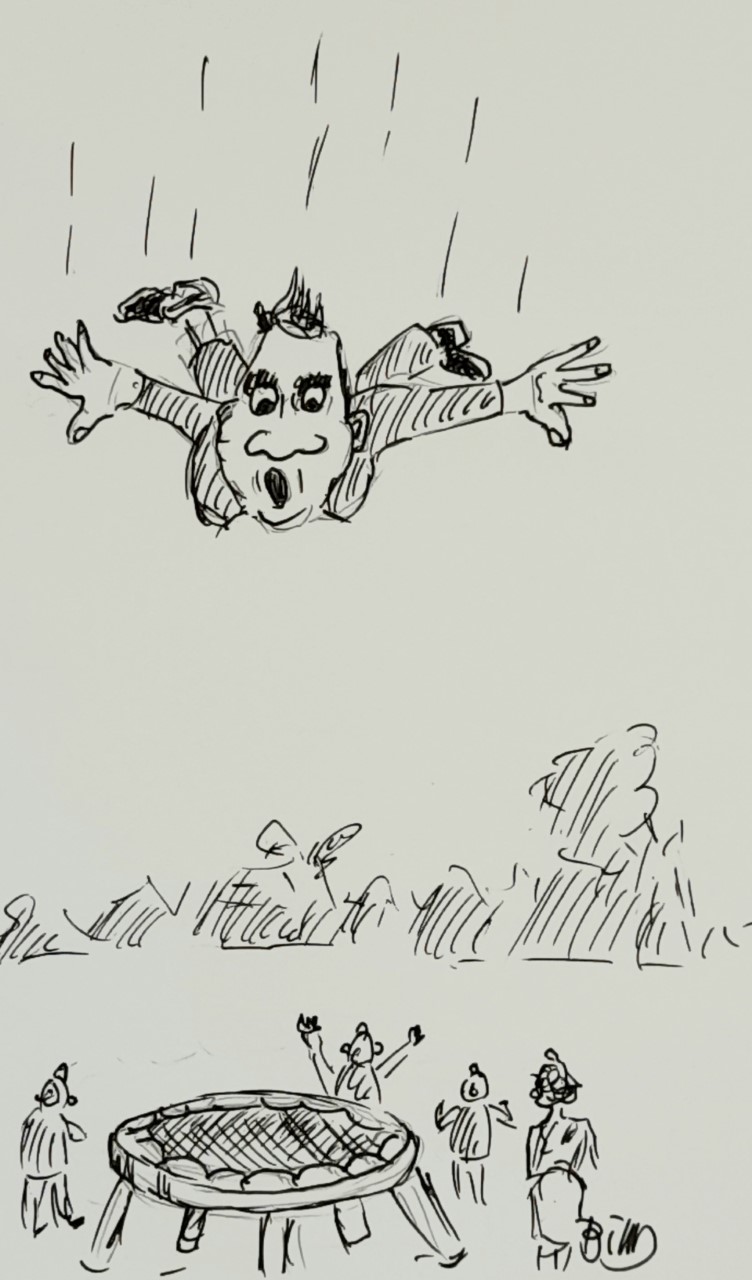 regeringsfall