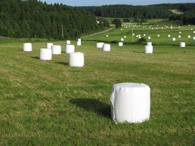 hobalar ensilage