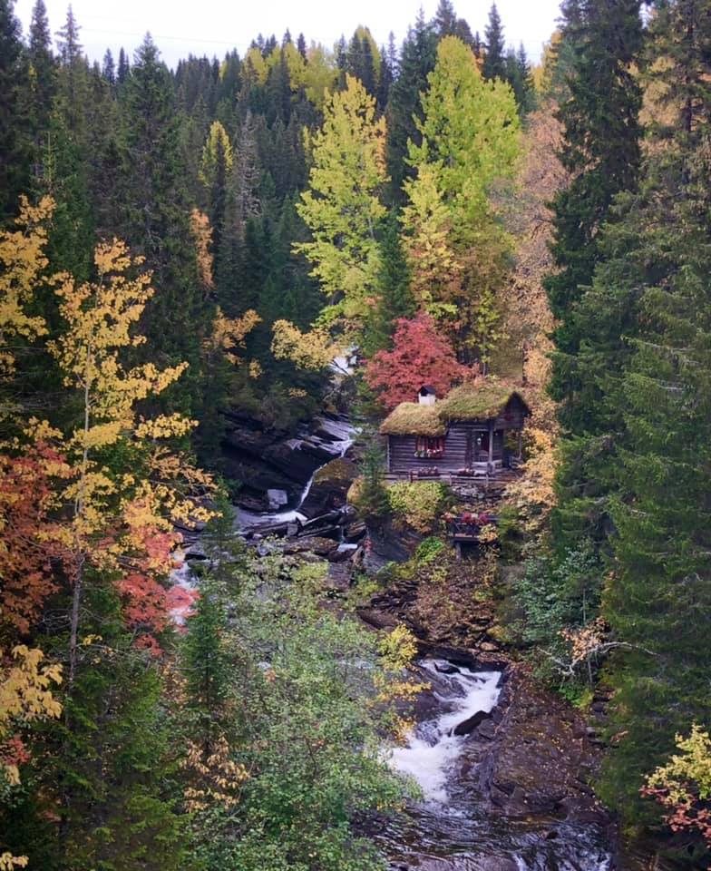 stuga i svensk natur