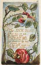 the sick rose 1