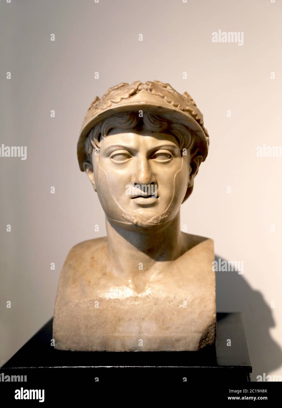 pyrrhus von epirus c 319 272 v chr romischer marmor 1 jahrhundert v chr villa dei papyri herculaneum archaologisches museum neapel italien 2c19h8k