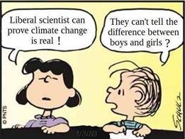 snobben cartoon om klimat