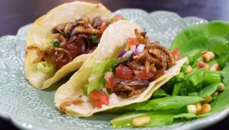 Tacos med larver
