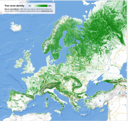 skog europa