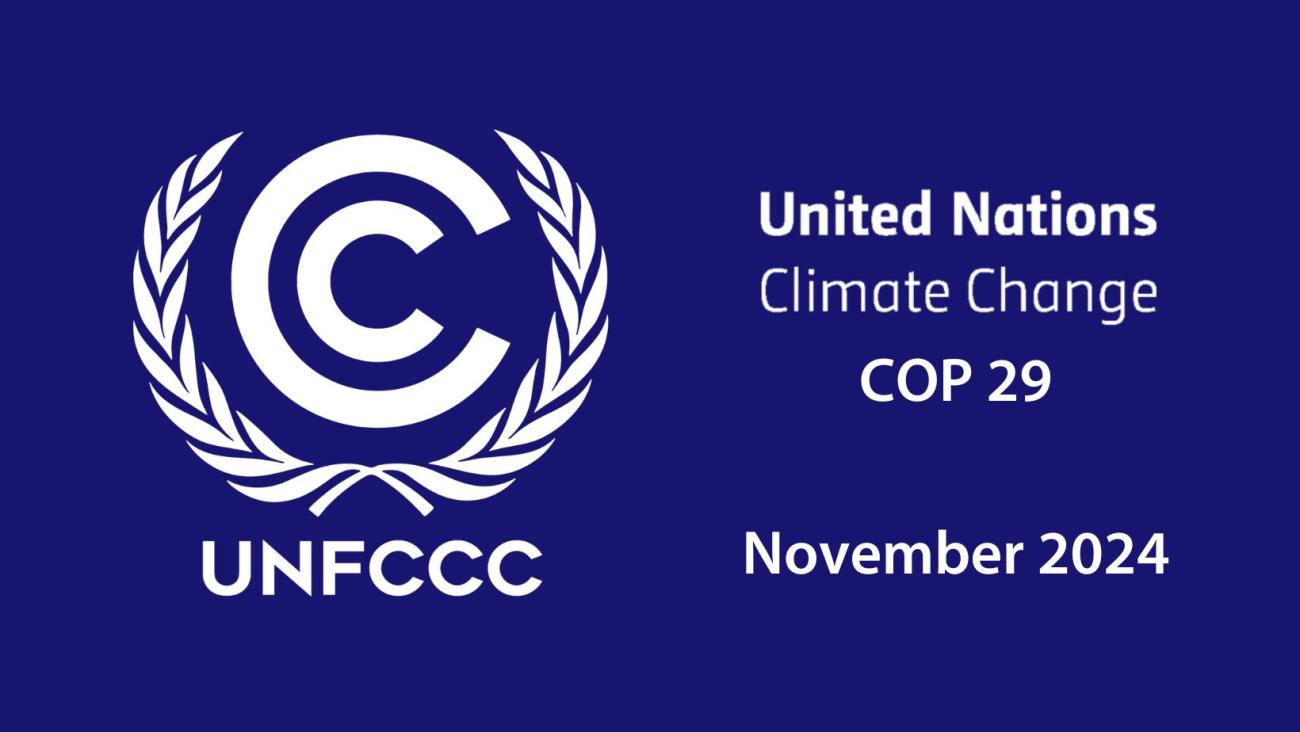 COP 29