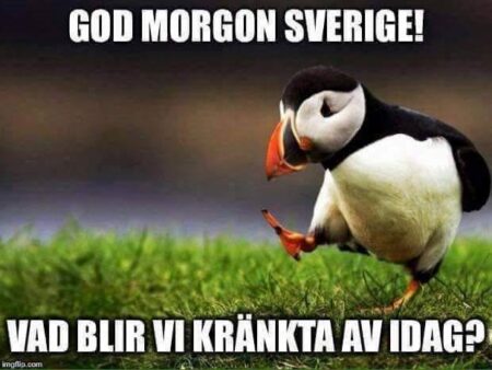 Öppen Tråd 1 krantabild